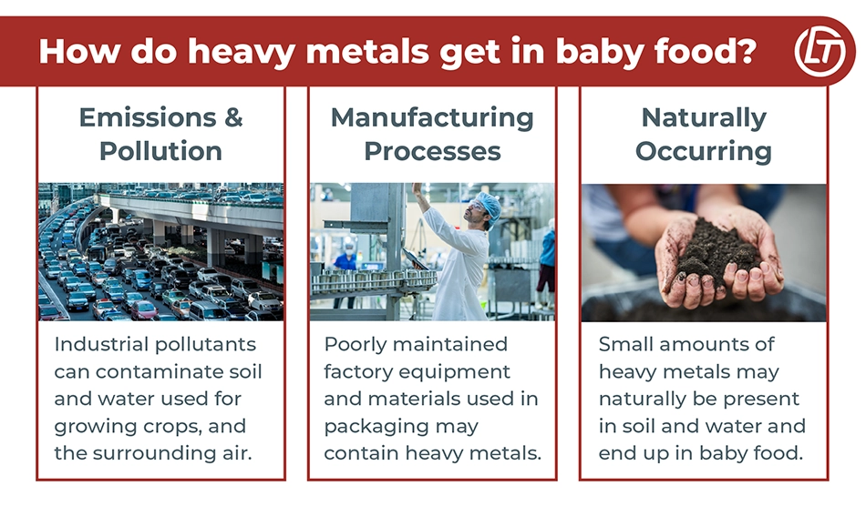 Infographic explaining how heavy metals may get in baby food.